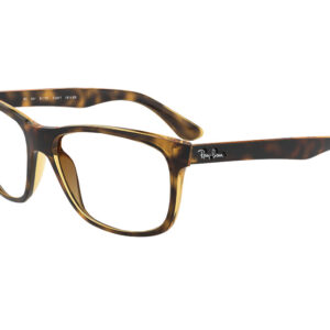 Lead-Glasses_Ray-Ban-4181-Tortoise-2